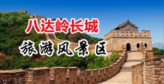 国产肥逼中国北京-八达岭长城旅游风景区